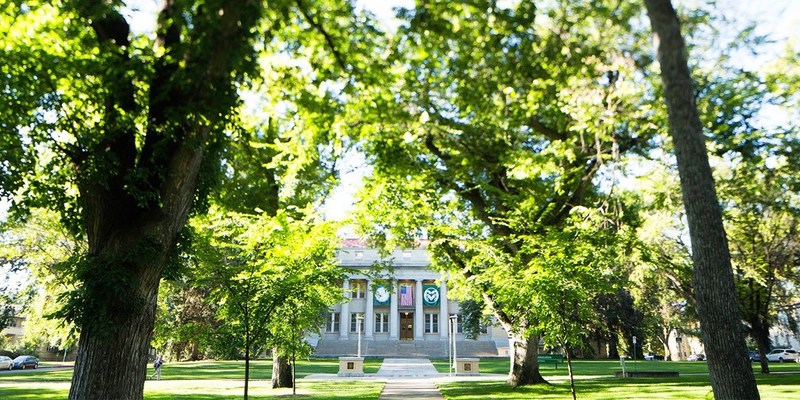 Medium colorado state university cover