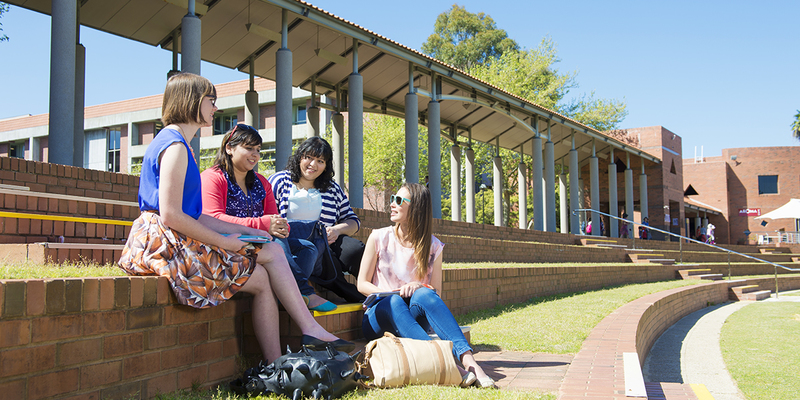 Medium students on campus web