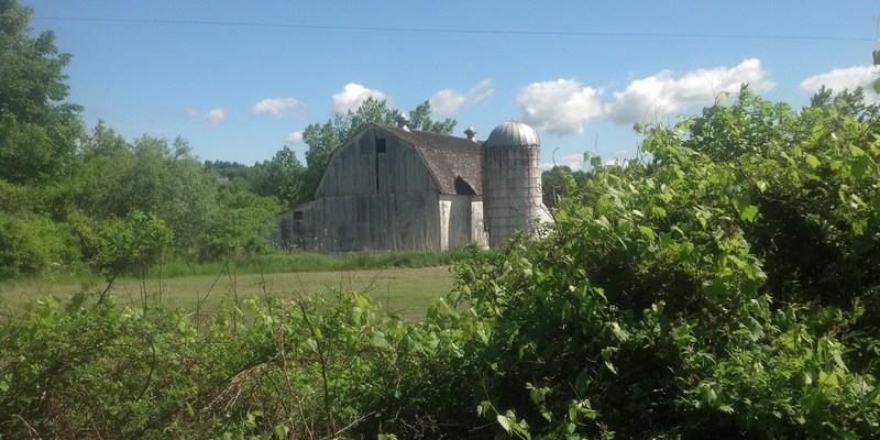 Medium herkimer college where barns abound