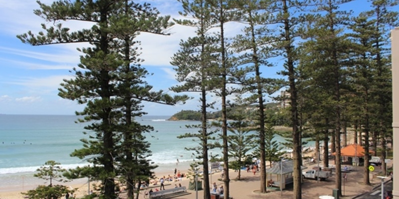 Medium manly beach vista sala de aula