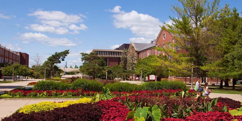 Medium illinois state quad north